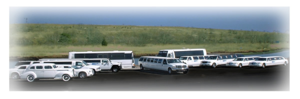 We have one of the largest fleet of stretch limousines and SUV limos in the New York City Metro area.